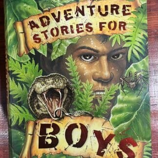 Adventure stories for boys by Miles Kelly