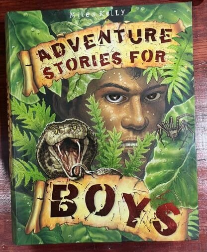 Adventure stories for boys by Miles Kelly